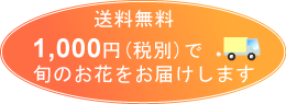 送料無料1,050円で
旬のお花をお届けします。